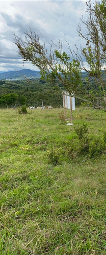 Imagen 4 de 14 de Lote De Terreno
