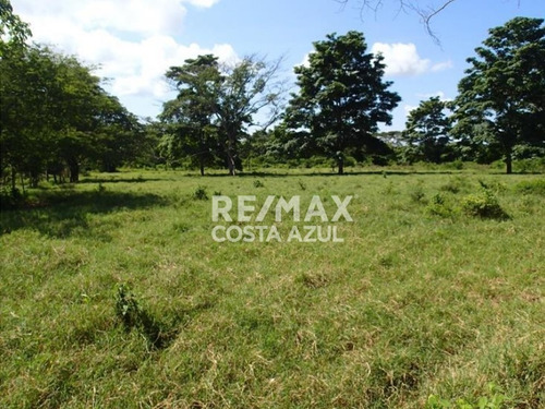 Remax Vende Finca De 80 Hectáreas A Desarrollar Precio De Oportunidad, Sector Riecito, Estado Falcon.