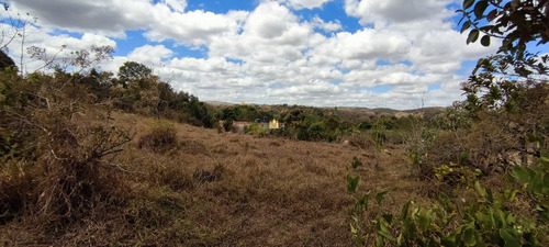 Imagem 5 de 15 de Lote Em Esmeraldas - Te00420 - 70076598