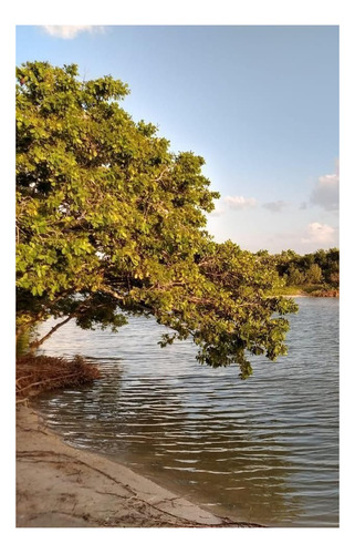 Lote Mérida ¡oportunidad De Inversión!