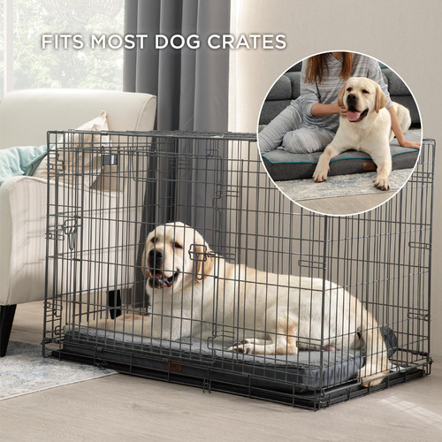 Cama Para Perros, Soporte Ortopédico De Espuma Viscoelástica