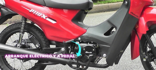 Baccio P 110 X Financia Delcar Motos ®