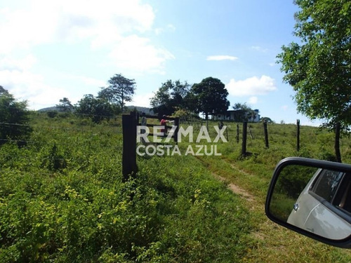 Remax Vende Finca De 80 Hectáreas A Desarrollar Precio De Oportunidad, Sector Riecito, Estado Falcon.