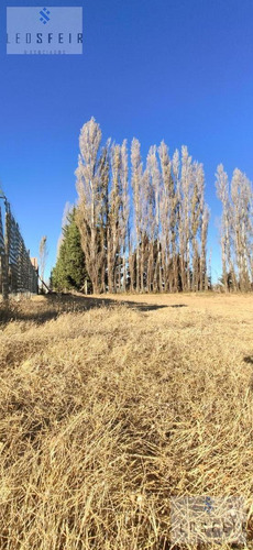 Imagen 10 de 11 de Oportunidad! Ultimos Lotes En Venta 450m² , Loteo El Carmel - Plottier