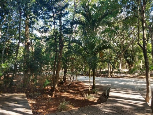 Imagen 3 de 8 de Terreno En Venta Cancun 4,900m2 | P2227