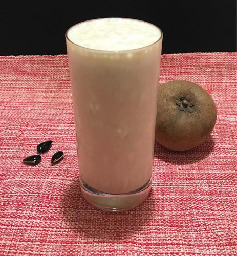 Muda De Sapoti - Fruta Exótica ( Manilkara Zapota ) (Usado)