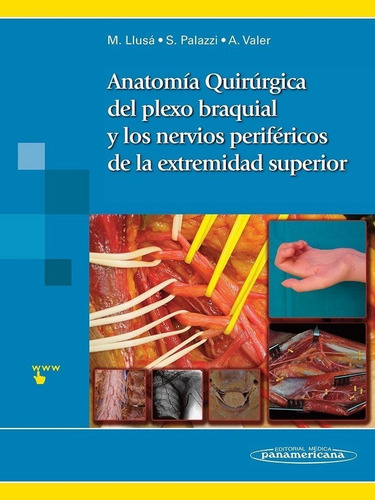 Anatomia Quirurgica Del Plexo Braquial Y Nervios Periferi...