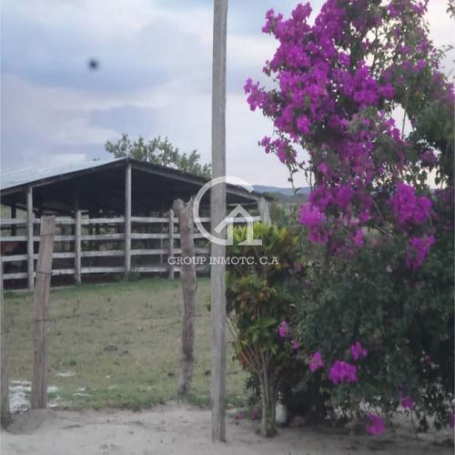 Imagen 2 de 5 de Group Inmotc Vende Finca En La Vía Upata/el Manteco