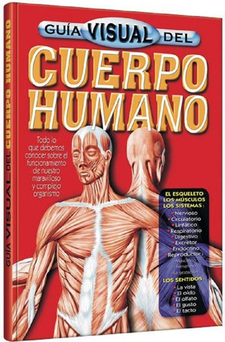 Libro Guía Visual Del Cuerpo Humano Maxi Formato Grupo Clasa