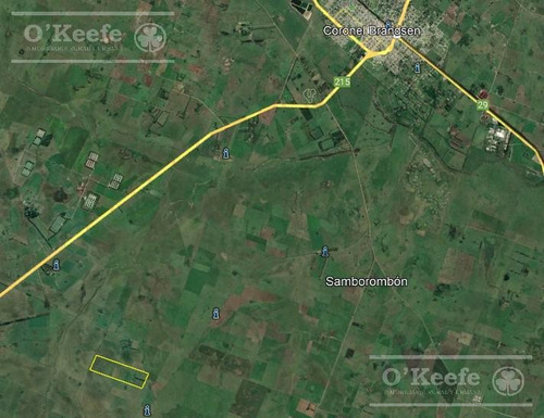 Imagen 22 de 25 de Campo Mixto De 75 Has - Buen Acceso A 3 Km De Ruta 215 - A 1 Hs De Caba