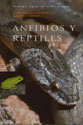 Anfibios Y Reptiles Guias De La Naturaleza Le, De Pleguezuelos,juan Manuel. Editorial Diputacion Granada(a.cultura En Español