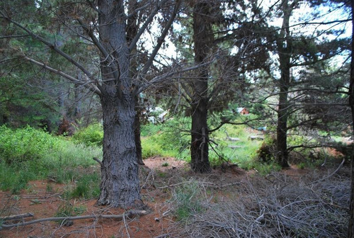 Imagen 4 de 7 de Terreno - Península De San Pedro