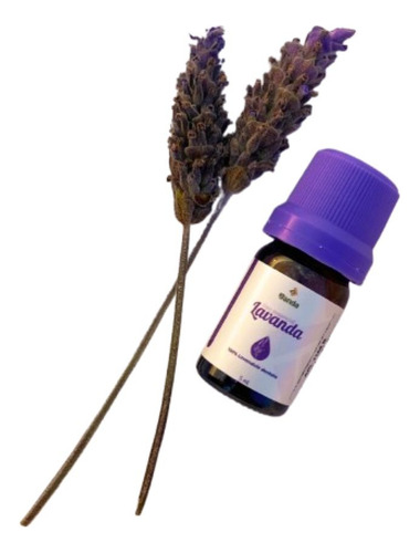 Óleo Essêncial De Lavanda Dentata 5ml - La Janda