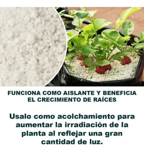 Prl Sustrato Perlita Selecta Premium 100 L