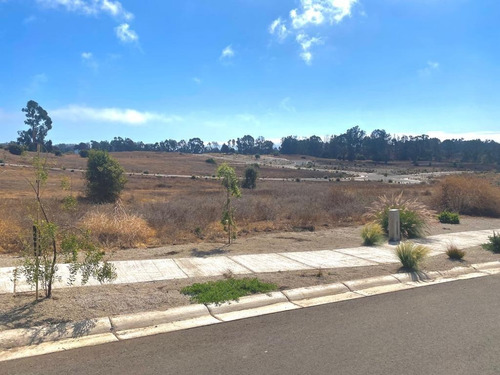 Imagen 4 de 6 de Terreno Condominio Maitenes - Maitencillo