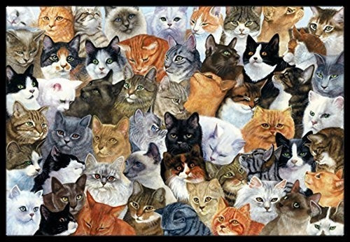 Tesoros De La Caroline Bdba0414jmat Gatos Galore Mat 24 X 36