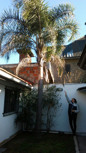 Venta Depto 2 Amb Patio: Sin Expensas : Avda Belgrano. Wilde