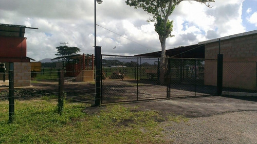 Imagen 3 de 14 de Venta Finca En Falcón Tucacas Oportunidad Cod. 423619