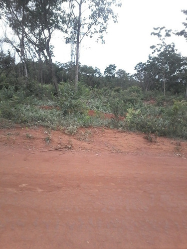 Imagem 9 de 19 de Chácara À Venda, Marilandia - Marilandia/mg - 18420