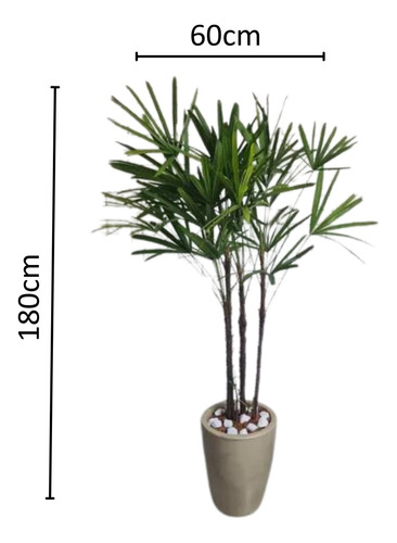 Planta Natural Palmeira Ráfia Com Vaso Cone
