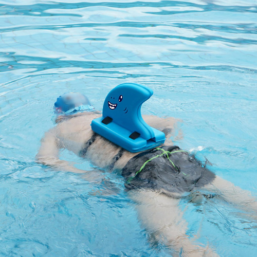 Natación Shark Fin Cute Eva Swim Training Belt Para Niños