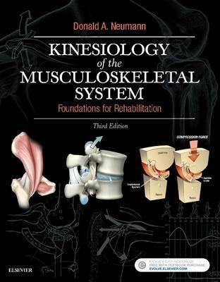 Kinesiology Of The Musculoskeletal System : Foundations F...