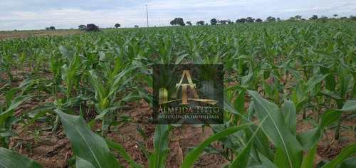 Imagem 17 de 19 de Excelente Fazenda Para Venda Em Barra Do Garças - Mt - Confira!!!! - Fa0050