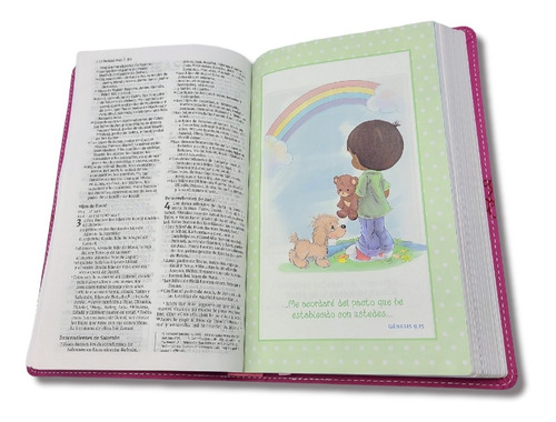 Imagen 8 de 8 de Biblia Preciosos Momentos Nvi Mis Quince Años Rosa