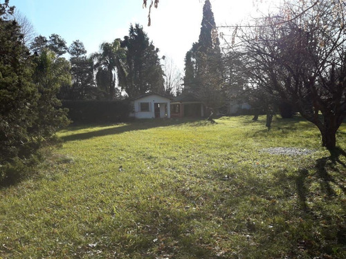 Imagen 8 de 19 de Casa - La Reja