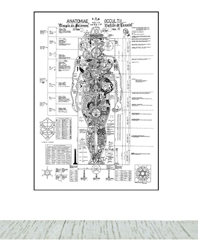 Cuadro Decorativo Anatomía Oculta Del Hombre No 1