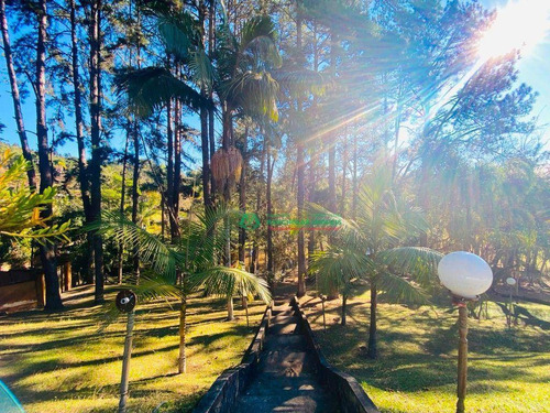 Imagem 4 de 30 de Chácara Com 4 Dormitórios À Venda, 10000 M² Por R$ 650.000,00 - Jardim São Luiz (caucaia Do Alto) - Cotia/sp - Ch0202