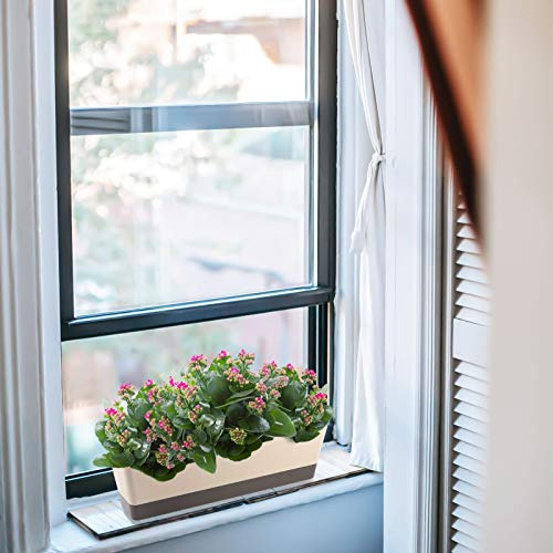 Suream Window Box Herb Planters, 3 Pack 16 X3.8 Pulgadas Ind