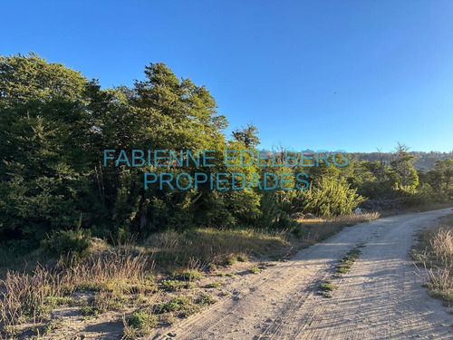 Terreno Vistas Únicas De 6000 M2 Con Proyecto Valle Escondido - San Martin De Los Andes