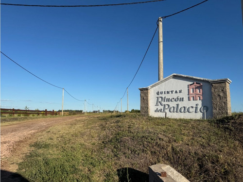 Vendo Lote De 1 Hectárea En San Justo, Entre Ríos.