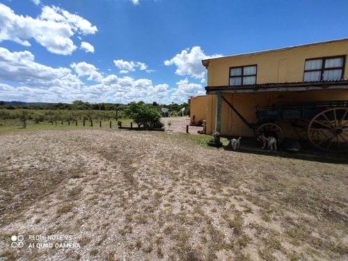 Imagen 21 de 30 de Venta De Chacra Sobre Ruta 9 A 30 Km De Jose Ignacio - Maldonado Ruta 9