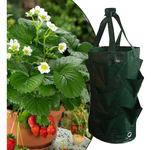 Saco De Cultivo De Morango, 3 Galões, Dobrável Com Verde