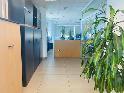 Venta Oficinas Premium - 100% Financiadas + Pago Con Cesecha