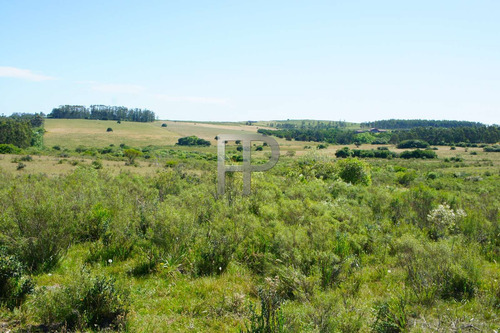 Imagen 3 de 5 de Campo En Venta Piriápolis 5 Hectáreas