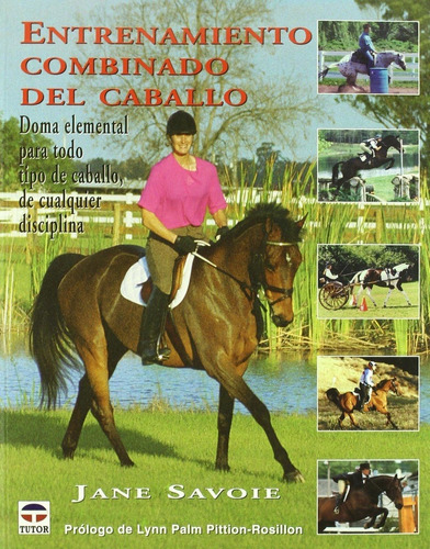 Entrenamiento Combinado Del Caballo