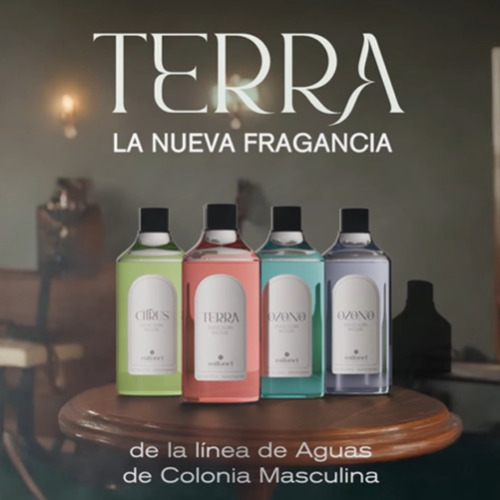 Agua De Colonia Masculina Terra Millanel Amaderada 210ml