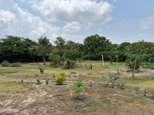 Lote De 5000m2 Santo Tomas (cm&d142).