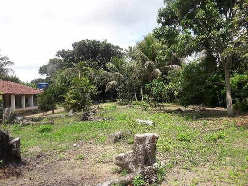 Imagem 8 de 14 de Chácara Br 324 15km De Feira De Santana Próxi Posto São Luis