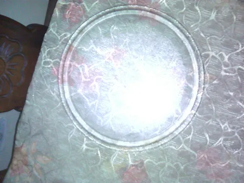 Plato Para Micro_ondas 28 Cts (Usado)
