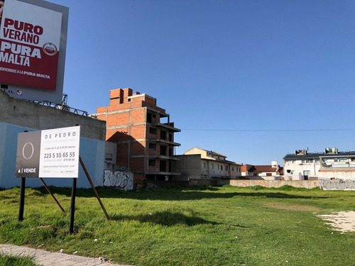 Imagen 7 de 14 de Alquiler - Espectacular Lote De 485m2 Sobre Av. Constitución