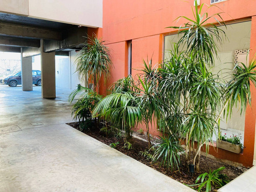 Imagen 13 de 16 de Departamento En Venta De 3 Ambientes En Lanús Oeste