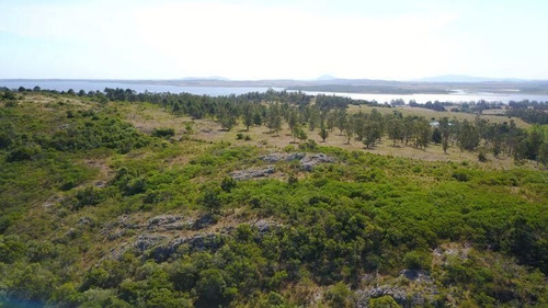 Imagen 3 de 9 de Chacra En La Pataia, Punta Ballena