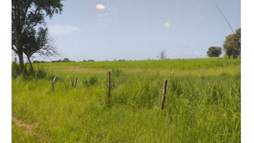 Imagen 25 de 30 de Finca Y Centro Turístico Linda Barinas En Venta