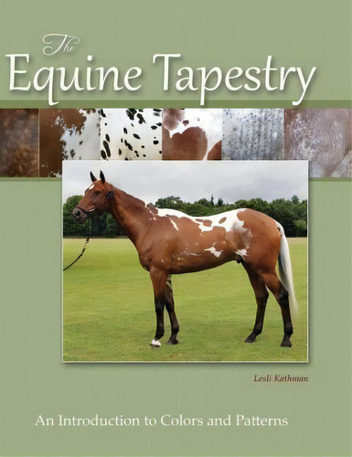 The Equine Tapestry, De Lesli Kathman. Editorial Blackberry Lane Press Llc, Tapa Dura En Inglés