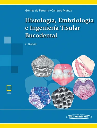 comprar Histología Embriología E Ingeniería Tisular Bucodental 4ta 