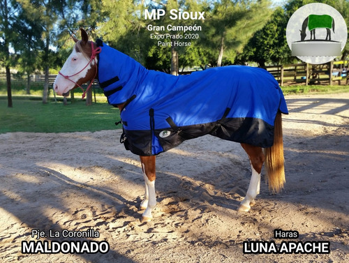 Imagen 7 de 10 de Manta Capa Caballo Importada (descuento Vta. Directa)
